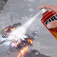 Mini Extincteur Mousse Aérosol Voiture Anti-Feu 1000ml/500ml, Matériau Acier Durable