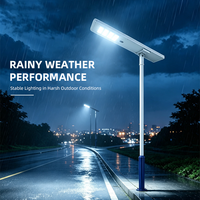 Lampadaire solaire tout-en-un en aluminium moulé sous pression 80W-120W, module LED, étanche IP67, pour projets routiers et municipaux