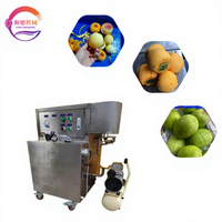 Fabrieksdirect zware industriële fruitenschiller voor sinaasappel, citroen, passievrucht, appel en citrusvruchten