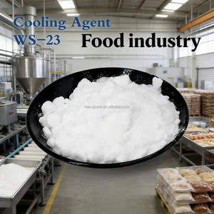 Approvisionnement en vrac CAS 51115-67-4 WS 23 Poudre WS23 Agent de refroidissement pour <span class=keywords><strong>spray</strong></span> buccal pastilles pour la <span class=keywords><strong>gorge</strong></span> - Product Image 4