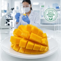 Graad A Halal IQF Diepvries Mango Blokjes Groothandel |   100% natuurlijke verse gesneden mangoblokjes 10x10mm voor smoothies & bakkerij