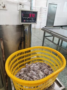 <span class=keywords><strong>Pulpo</strong></span> <span class=keywords><strong>de</strong></span> <span class=keywords><strong>pata</strong></span> larga congelado <span class=keywords><strong>de</strong></span> alta calidad y buen <span class=keywords><strong>precio</strong></span> al por mayor - Product Image 2