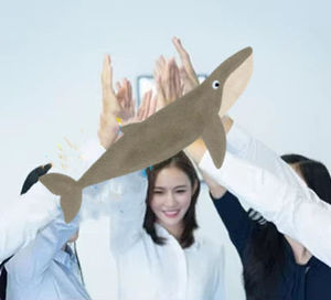 โกดังดรอปชิปที่ดีมีความร่วมมือกับยูน-เอ็กซ์เพรสเพื่อการจัดส่งที่รวดเร็ว พร้อมให้บริการสินค้าประเภทอื่นๆ - Product Image 6