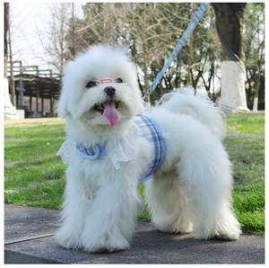 Harnais pour chien Teddy Kirky de petite et moyenne taille pour l'extérieur avec étiquette personnalisée - Product Image 1