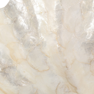 Ciotola decorativa a forma di conchiglia per decorazioni da tavolo e bancone, centrotavola - Product Image 5