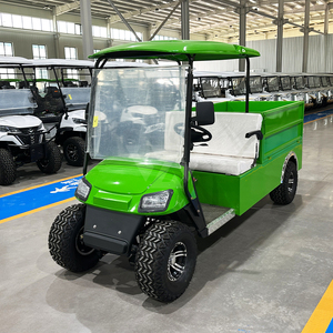 Voiturette de golf utilitaire à 4 roues, 2 places, avec batterie au lithium 72V et plateau, pour parcours de golf 26 - Product Image 1