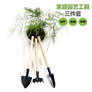 Ensemble d'outils de jardinage Basil Mini, 3 pièces, en fer, avec manche en bois, outils de jardin durables pour planter des fleurs et des plantes succulentes - Product Image 1