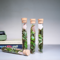 Tube à essai à fond plat Terrarium en mousse artificielle Tube de verre Plantes Terrariums en bois avec couvercle en liège