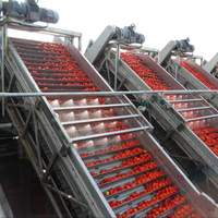 Équipement de Concentration de Tomates avec Évaporation Sous Vide, Stérilisation UHT, Ligne de Fabrication de Base de Ketchup avec Remplissage Aseptique en Sachet