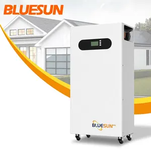 بطارية Blueusn شمسية بطارية ليثيوم ذات عمر طويل للاستخدام المنزلي رخيصة بطاريات lifepo4 من الصين