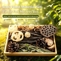 Jouet à mâcher pour perroquet en bois d'orme, pour les dents et contre l'ennui, coffret cadeau combiné