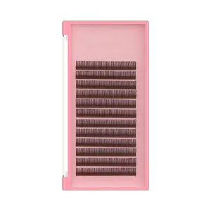 Easy Fanning Lash Extensions Own Brand Private Label 0.07mm 3D/5D/6D Gap Rapid Blooming Lashes