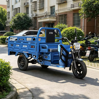 Tricycle électrique de transport de marchandises, benne basculante, agricole, fabricants transfrontaliers, carrosserie ouverte, batterie 12V