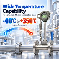 GVF100 Digital RS485 Pengukur Aliran Udara Vortex untuk Udara Terkompresi, Propana, Biogas, dan Uap dengan Kompensasi Suhu dan Tekanan