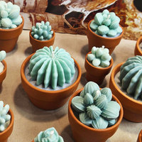 Bougie de jardin artisanale personnalisée bougie en pot de cactus pour plantes bougies succulentes parfumées au soja uniques et créatives pour la décoration de bureau