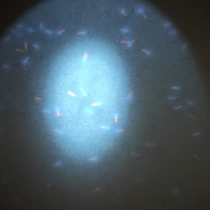 Carta di sicurezza di alta qualità per filigrane, banconote, timbri e biglietti con fibra UV invisibile per la vendita all'ingrosso - Product Image 4