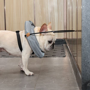 2025 alat pemandu anjing buta baru mewah Harness hewan peliharaan rompi Halo untuk anjing buta - Product Image 6
