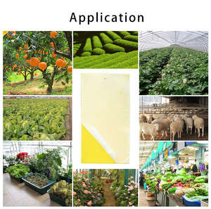 กับดักแมลงวันผลไม้กันน้ำ แบบกาวสองหน้า สีเหลือง/น้ำเงิน สำหรับจับแมลงสาบ/ไรวง/แมลงวันขาว  แบบตัดขึ้นรูป - Product Image 6