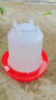 Abreuvoir pour poulets en plastique de 1L pour élevage au sol en ferme avicole