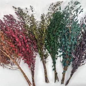 Ramas de Hojas de Eucalipto Naturalmente Preservadas en Paquete de 110g, Suministradas por la Fábrica, Flores Secas Elegantes y Atemporales para el Día de San Valentín - Product Image 3