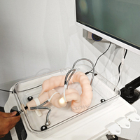 LHNCS Modèle chirurgical du côlon plié Colonoscope torsadé Simulation souple Modèle d'entraînement à la coloscopie