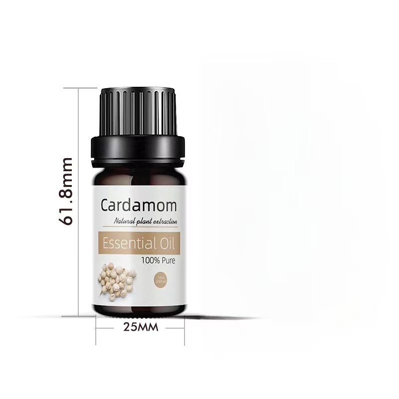 Cardamome