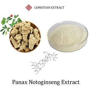 Panax <span class=keywords><strong>Notoginseng</strong></span> <span class=keywords><strong>Extract</strong></span> Saponinen 10% tot 98% Bloedsomloop- en herstelondersteunend poeder Aanpasbaar Bulk <span class=keywords><strong>Notoginseng</strong></span> - Product Image 1