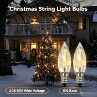 Ampoule LED à filament en verre rayé E10, AC8-55V, large plage de tension, remplacement pour guirlande lumineuse de Noël intérieure/extérieure
