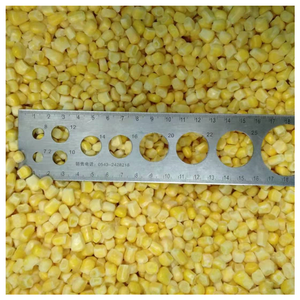 Toplu IQF dondurulmuş TATLI MISIR çekirdek-ihale ve sulu, dondurulmuş yemekler, taraflar ve hızlı atıştırmalıklar için Ideal - Product Image 4