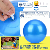 Balle géante pour chien, balle de berger géante, durable, résistante aux déchirures, gonflable, grande balle avec housse et pompe pour le jeu et l'exercice des chiens