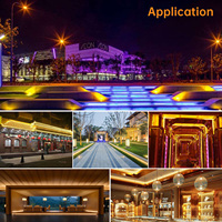 Bande lumineuse LED flexible en silicone personnalisable, AC110V AC220V DC12V DC24V 16mm DMX512 RGB RGBW RGBWW SMD5050 IP68