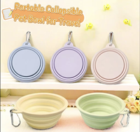 Vente en gros de bols pliables en silicone pour animaux de compagnie, portables, pour voyages en plein air, pour chat et chien, avec mousqueton