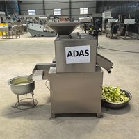 Presse industrielle à froid à double rouleau, extracteur lent commercial pour jus de fruits, citrons, agrumes et oranges