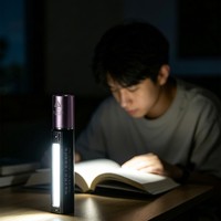 Lampe torche UV à logo personnalisé OEM, emballage cadeau, 365nm, test de pierres précieuses, rechargeable, aluminium, CE RoHS, directement de l'usine