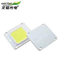 Precio al por mayor: Fuente de luz LED COB 4640 de 50W 30V para inundación y jardín, eficiente, con chips Epistar y Sanan