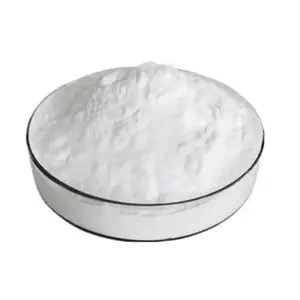 Food Grade Sodium Butyrate CAS 156-54-7 Sodium-Butyrate Powder