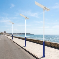 Tiang Lampu Jalan Tenaga Surya Hemat Energi All in One yang Tahan Lama dan Terintegrasi