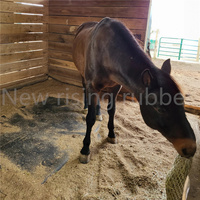 Matelas en caoutchouc imperméable neuf pour l'aménagement des boxes à chevaux, lit en mousse de caoutchouc pour l'écurie