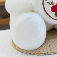 Nouvel Ours en Peluche Personnalisé Saint-Valentin Anniversaire Express Amour OEM/ODM Vente en Gros en Maille PP Rembourré Doux Jouet Anti-Stress