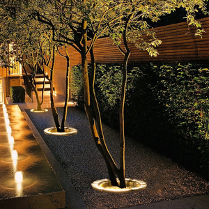 Lumière extérieure en aluminium pour <span class=keywords><strong>arbre</strong></span> câlin DMX512 6W 36W RVB coloré <span class=keywords><strong>Spot</strong></span> de jardin et anneau de paysage éclairage IP65 pour jardins - Product Image 5