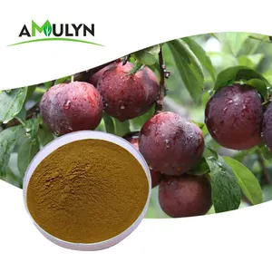 Ngay Lập Tức Đồ Uống Bột Hun Khói Mận Chiết Xuất Tối Plum Trái Cây