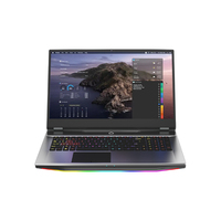 Laptop para Gaming de Alto Rendimiento Core I9 de 12ª/13ª Gen con RTX 4090/RTX 4080 32 GB RAM 1 TB SSD de 17.3'' Estación de Trabajo para Edición de Video y Computadora para Gamer