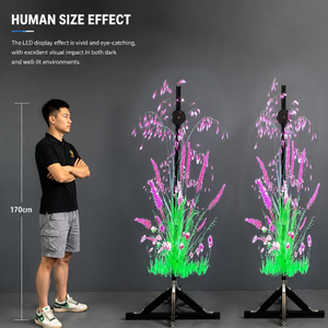 พัดลมโฮโลแกรม 3 ชิ้น ขนาด 65 ซม. จอแสดงผลโฆษณา LED 3 มิติ ขนาดใหญ่ สำหรับการตลาดในร้านค้า - Product Image 1