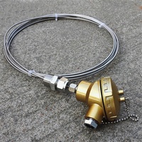 WRNK-131 termopar Industrial de alta temperatura, Sensor de termopar con aislamiento Mineral