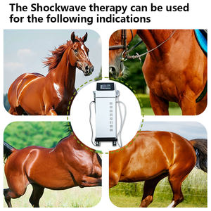 Macchina per terapia focalizzata portatile a doppia modalità per ED e sollievo dal dolore-certificata per uso veterinario T210 - Product Image 4