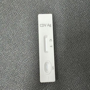 Antigène du virus de la distempe canine Instrument de bioessai à détection rapide pour la détection précoce et le <span class=keywords><strong>diagnostic</strong></span> des maladies animales <span class=keywords><strong>Kit</strong></span> pour chats - Product Image 3