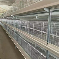 Nouvelle conception d'élevage de poulets pour système d'élevage entièrement automatique de poulets de chair avec cage de couvaison en métal/plastique