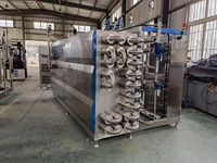Machine de pasteurisation tubulaire aseptique pour le ketchup