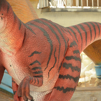 Raptor Dinosaurus Kostuum met Verborgen Poten, Lichtgewicht, Flexibel, Aanpasbaar voor Binnen/Buiten Gebruik, Tuin, Winkelcentrum