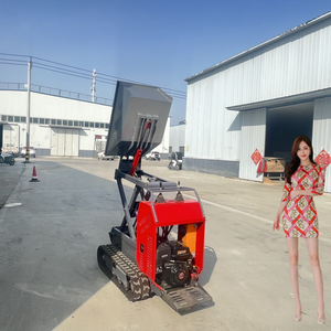 La Chine hydraulique Mini Dumper 500kg Construction camion de jardin Mini Dumper prix d'usine essence utilisation agricole Mini Dumper piste - Product Image 5